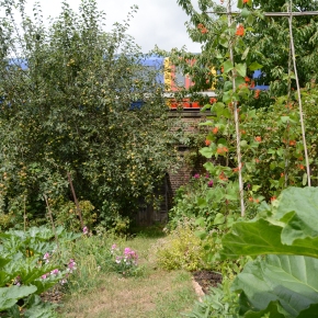 Allotment Open Day 9 August 2015
